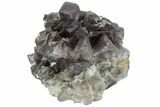 Purple, Cubic Fluorite Crystal Cluster - Pakistan #221240-1